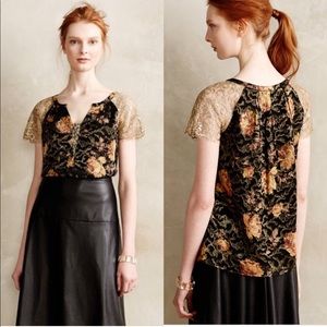 Anthropologie HD In Paris Top Disa Velvet Burnout